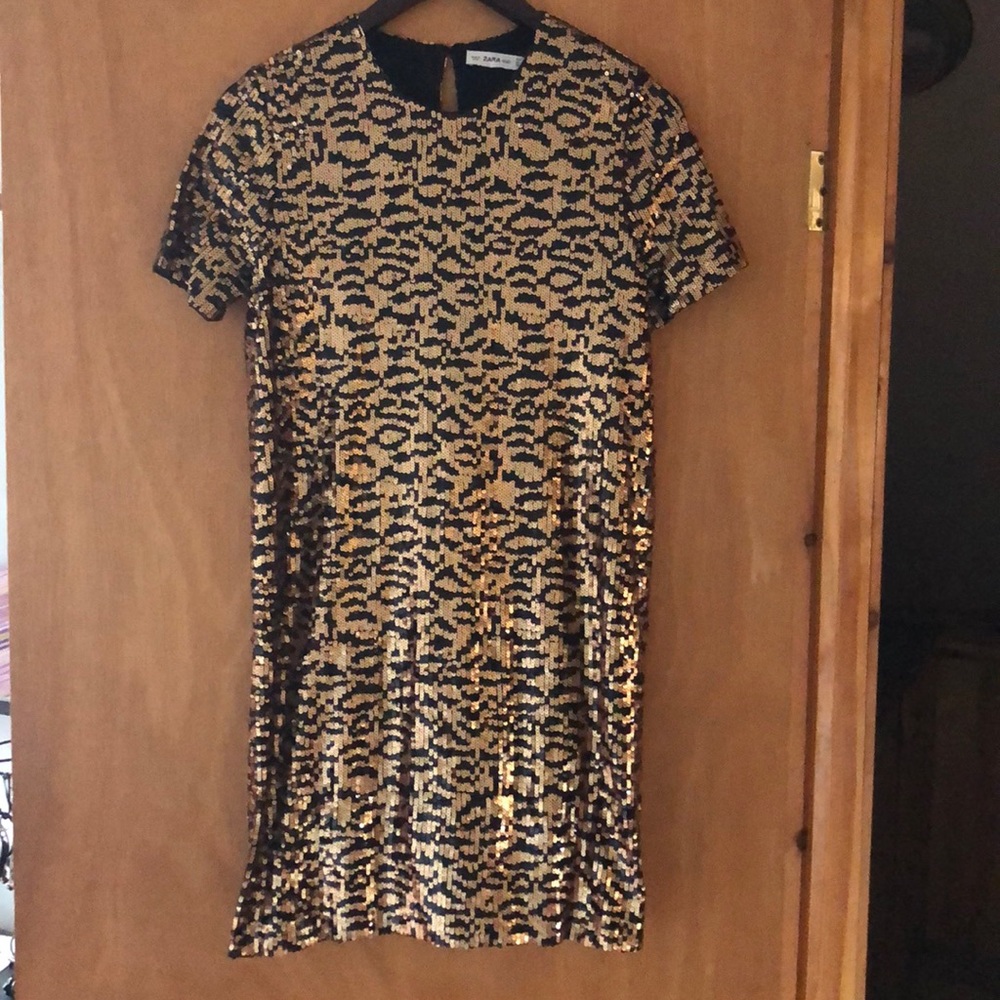 Zara dress